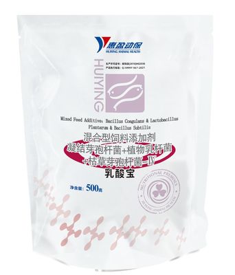 Pó ácido lático do composto de Probióticos da cultura aquática que regula o intervalo intestinal que refina a qualidade de água