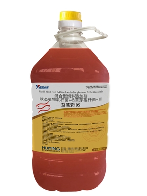 Melhore aditivos da alimentação da qualidade de água para o bacillus-subtilis Plantarum do lactobacilo dos animais